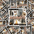 DS - 2612 Not all who wander are lost Die Cut sticker